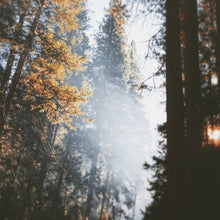 Load image into Gallery viewer, Winter Oak Unisex Perfume - Eau De Parfum Spray, 3.4 Fl Oz