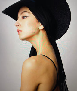 The Swallow Visor