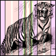Load image into Gallery viewer, Tiger Stripe
